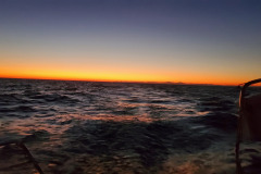 20221015_072928