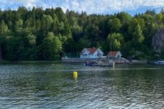 IMG-20220626-WA0070