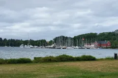IMG_20220722_212441_828